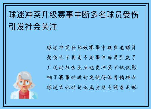 球迷冲突升级赛事中断多名球员受伤引发社会关注
